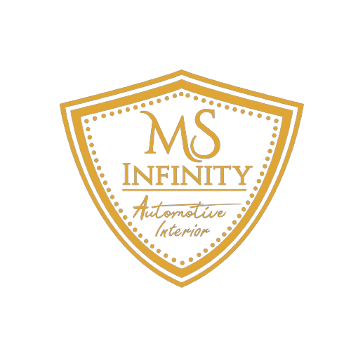 msinfinity logo